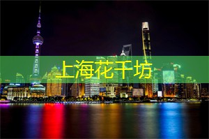 上海夜间酒吧文化：一场酣畅淋漓的新体验