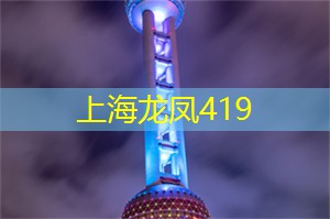 夜晚上海，可以玩到天亮！绝不容错过的夜间活动