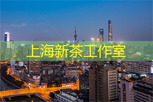 天籁之音探寻真爱：上海相亲现场惊艳一刻！