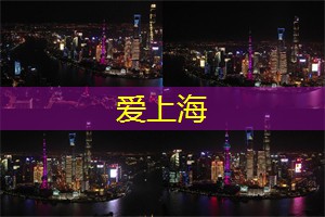 上海冬季节庆活动回顾