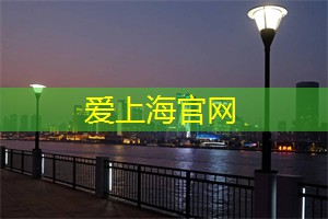 在灯光闪烁中音乐与舞动碰撞 在灯光闪烁中音乐与舞动碰撞